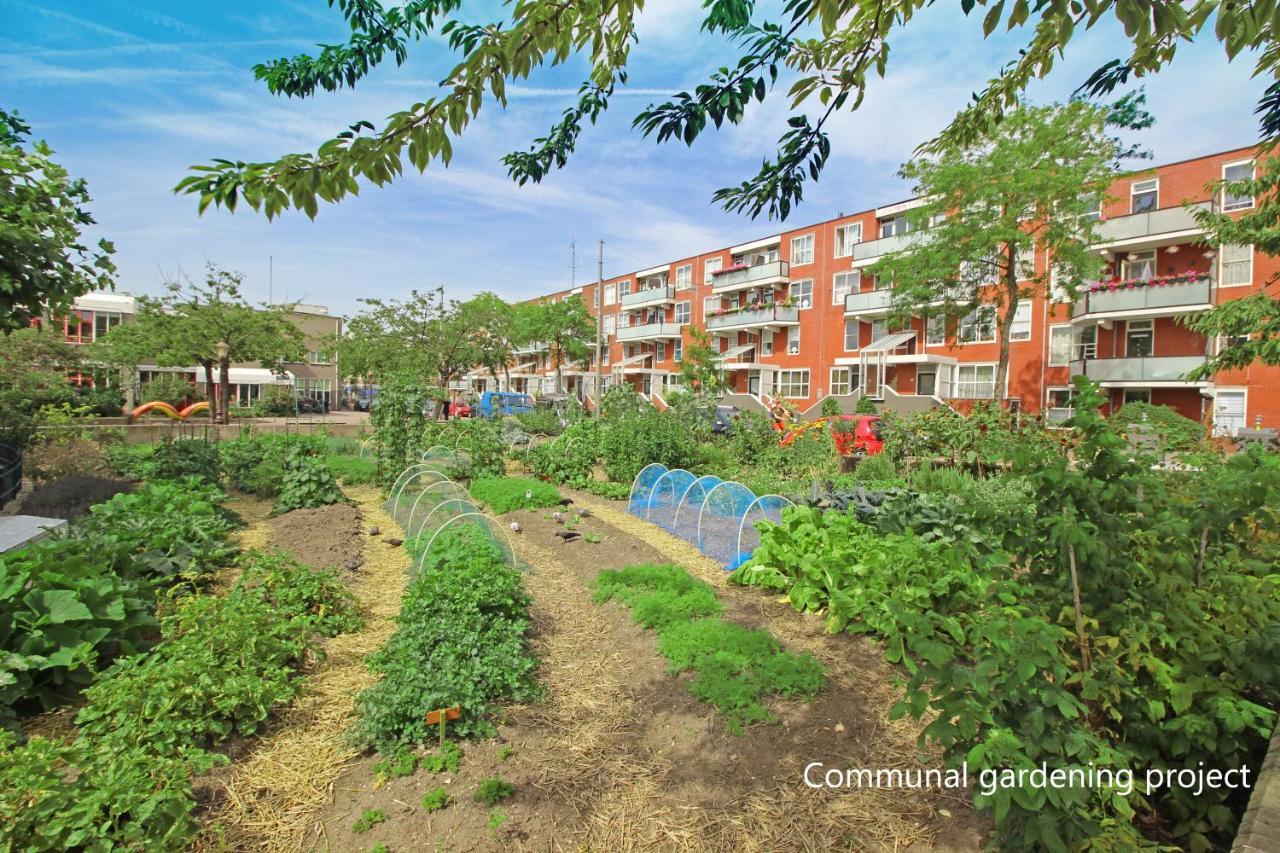 New Monumental Garden View Studio Amsterdam Pokój zdjęcie